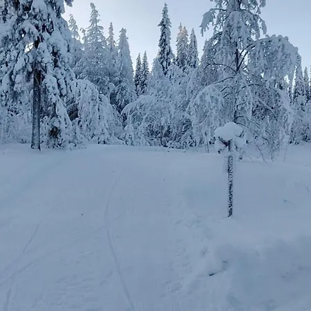 Кемпинг Ristijaerven Pirtti Village *