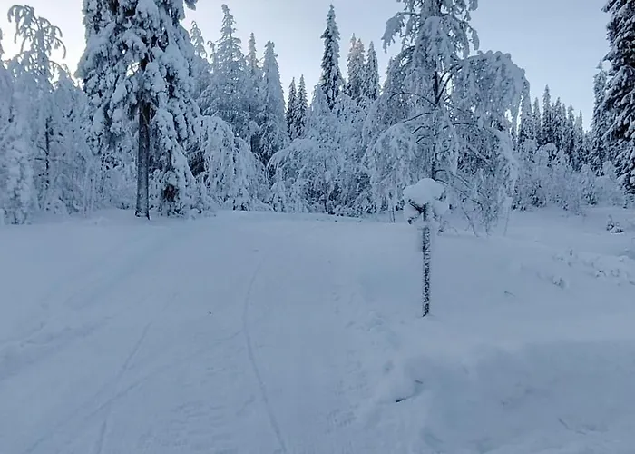 キャンプ場 Ristijaerven Pirtti Village *