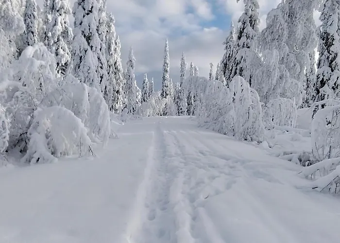 Ristijaerven Pirtti Village *